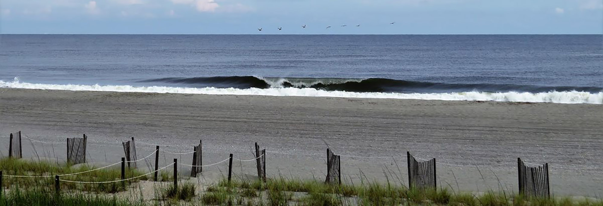 Birds flying in a line over the coast at Holden Beach