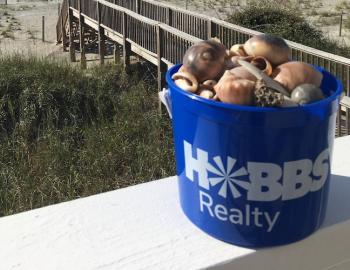 Holden Beach Shells