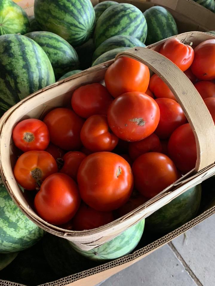 ludlums tomatoes and watermelon