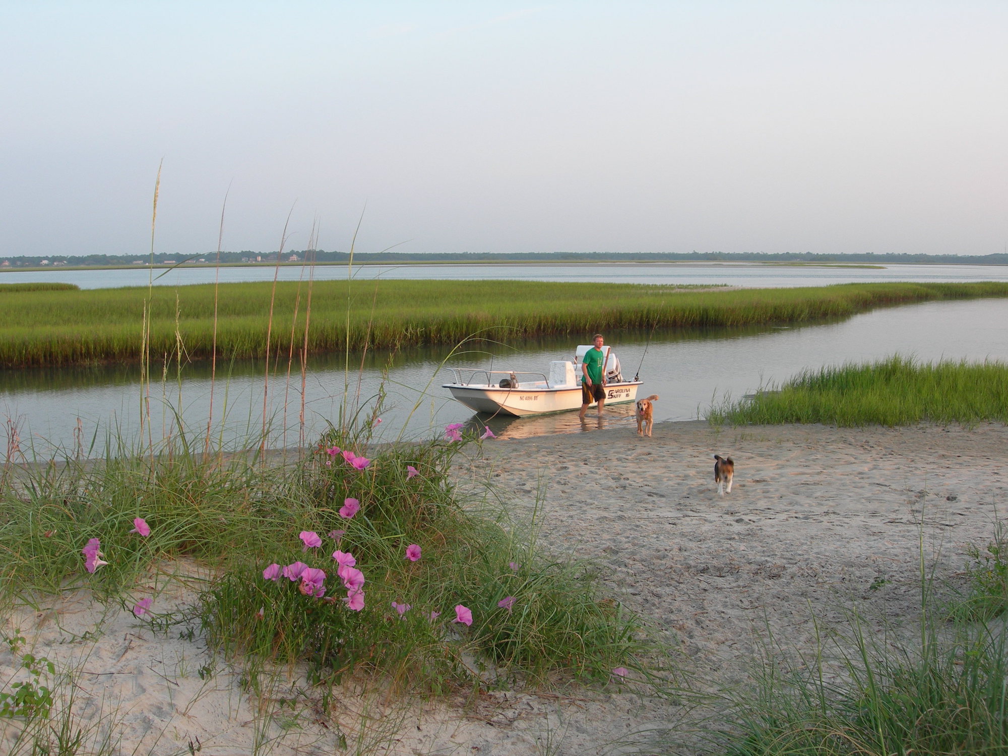 morning glory coastal north carolina