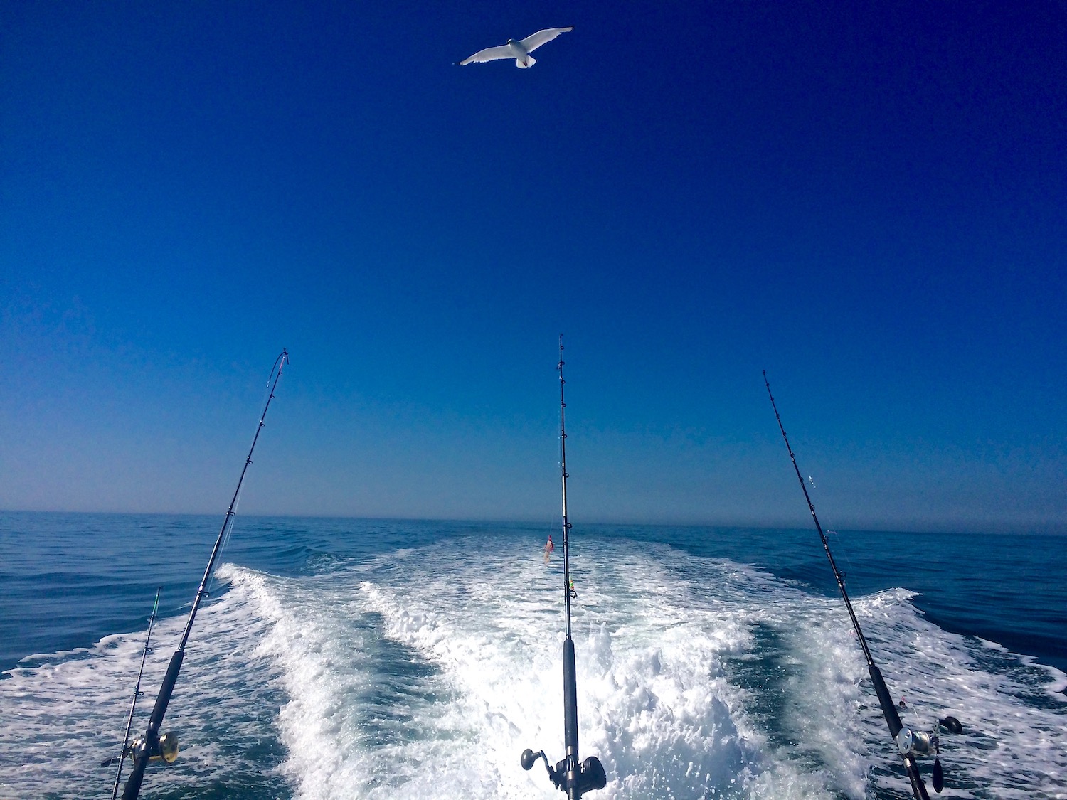 ocean charter fishing