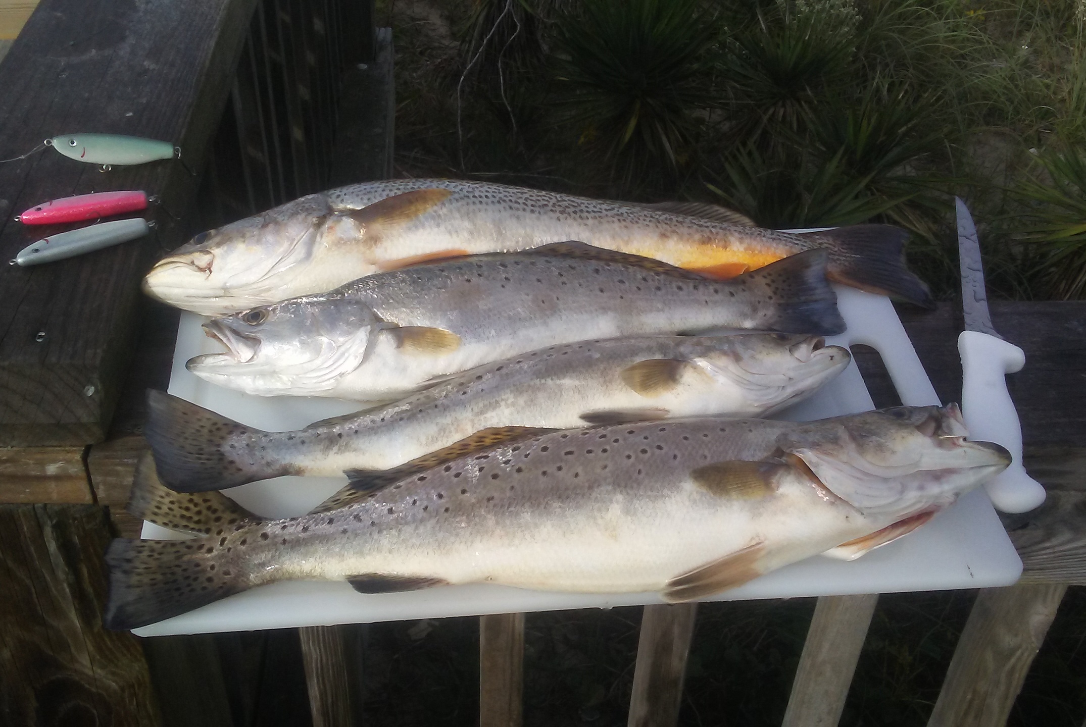 trout with lures